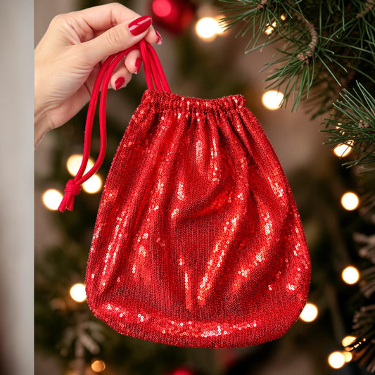 C765 - Festive Sequin Money Bag
